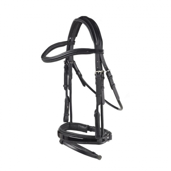 Horse Bridle