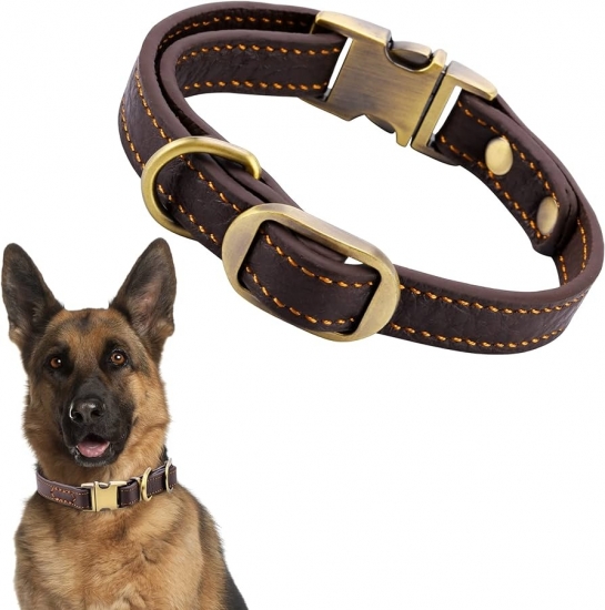 Dog Collars