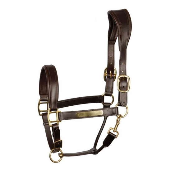 Horse Halter