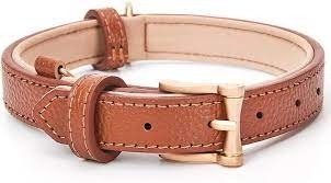 Dog Collars