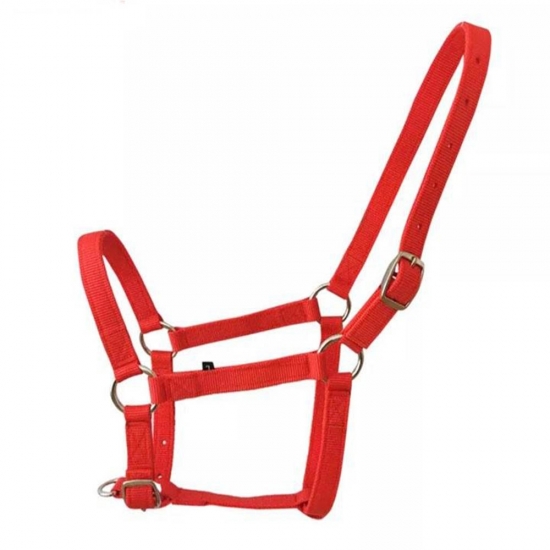 Horse Halter