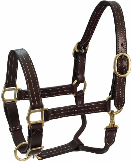 Horse Halter