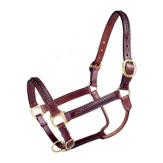 Horse Halter