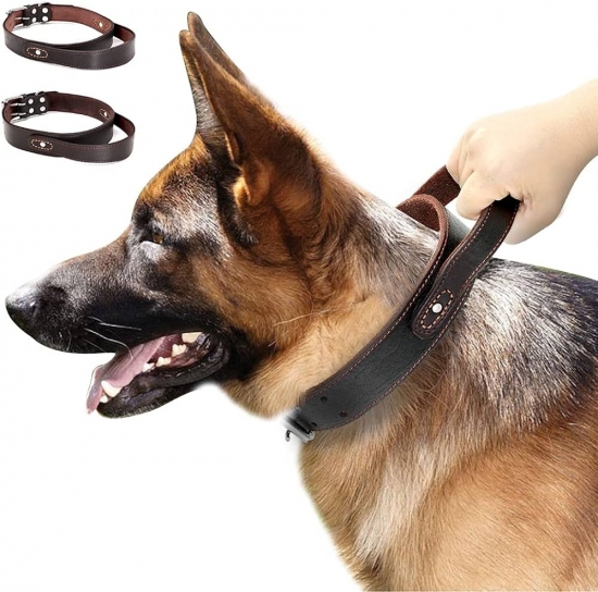 Dog Collars