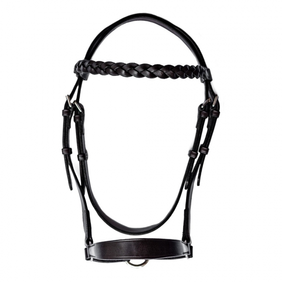 Horse Bridle