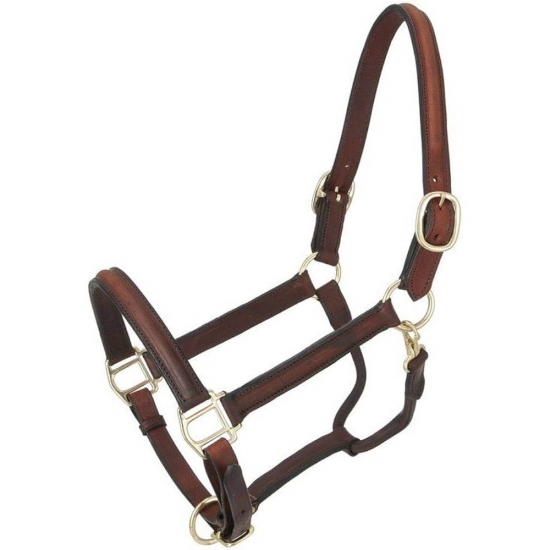 Horse Halter