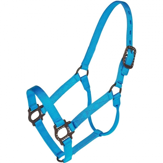 Horse Halter