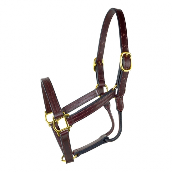 Horse Halter