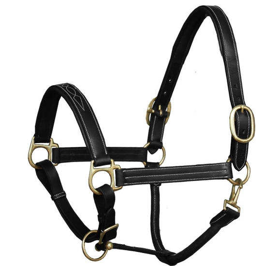 Horse Halter