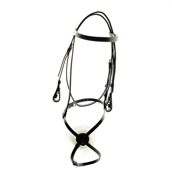 Horse Bridle