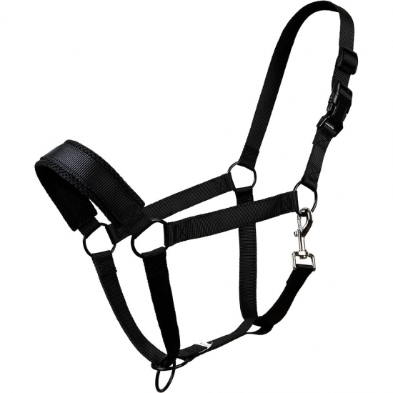 Horse Halter