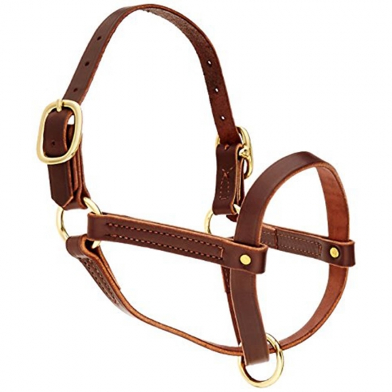 Horse Halter