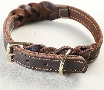 Dog Collars