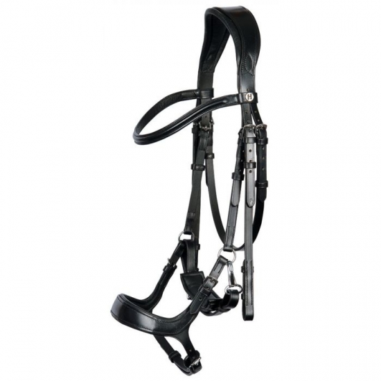 Horse Bridle