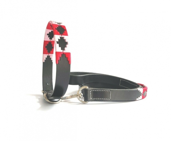 Dog Collars